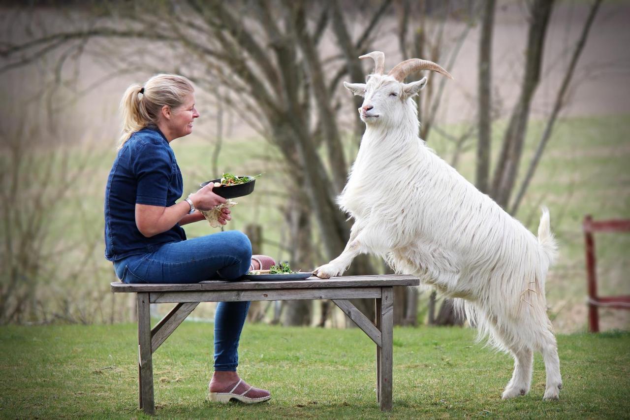 Toric Farmlodge 브라스타드 외부 사진