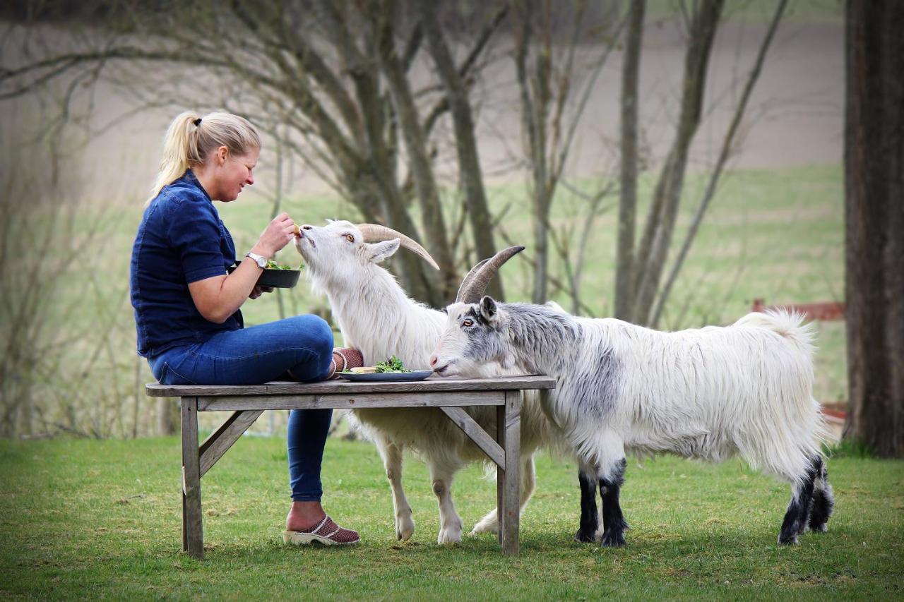 Toric Farmlodge 브라스타드 외부 사진