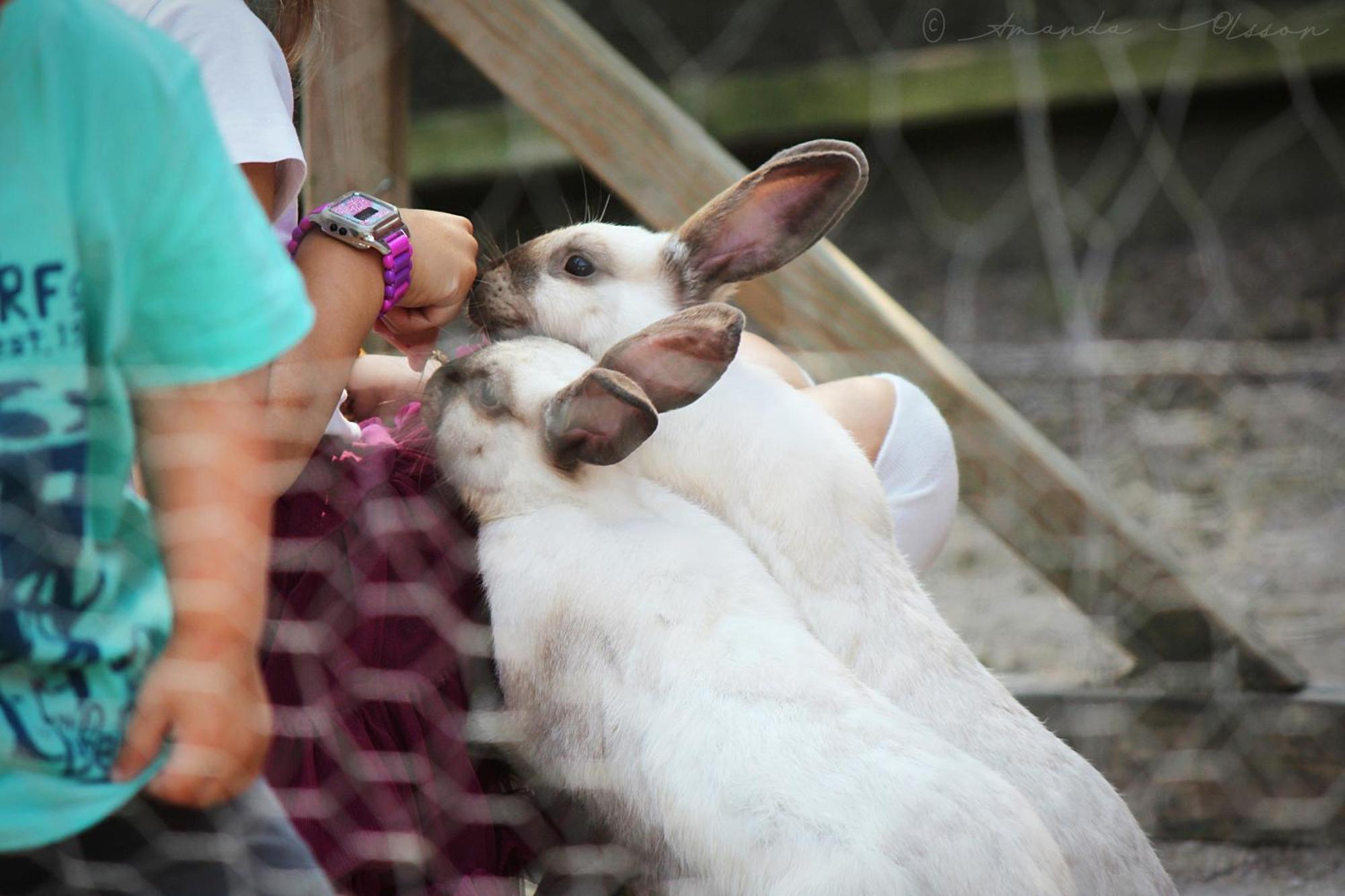 Toric Farmlodge 브라스타드 외부 사진